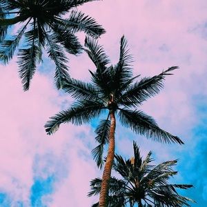 Meet your Posher, Justina